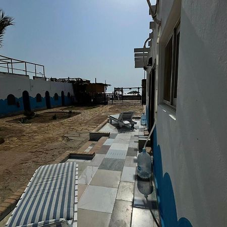 Dolphin Camp Ξενοδοχείο Νταχάμπ Εξωτερικό φωτογραφία