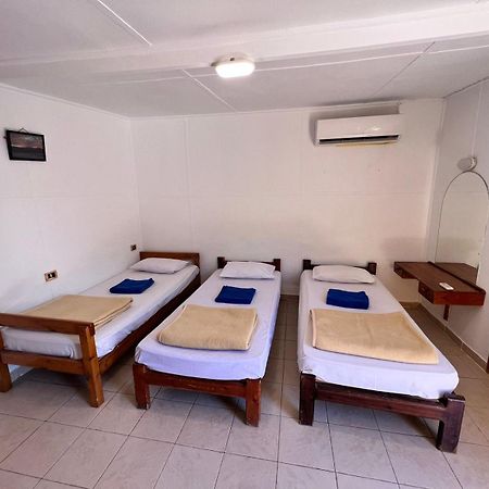 Dolphin Camp Ξενοδοχείο Νταχάμπ Εξωτερικό φωτογραφία