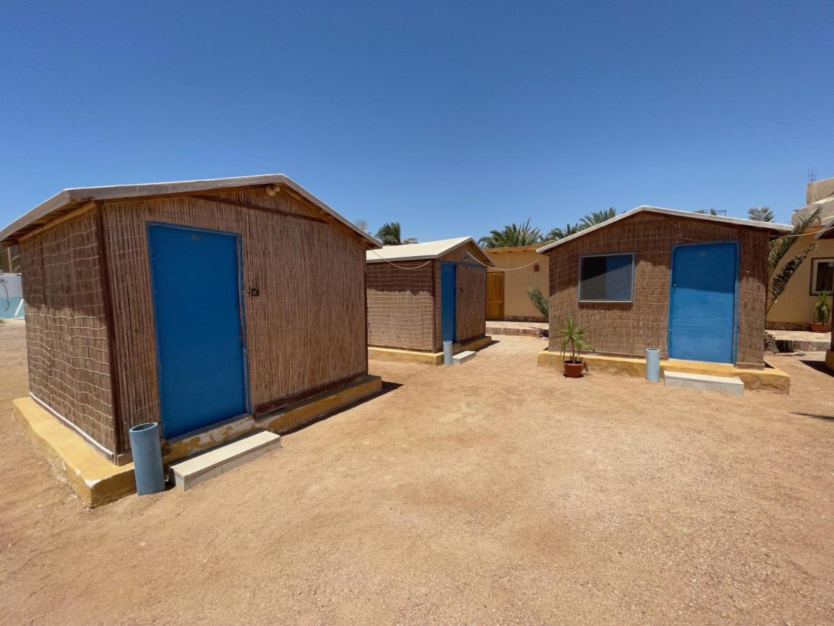 Dolphin Camp Ξενοδοχείο Νταχάμπ Εξωτερικό φωτογραφία