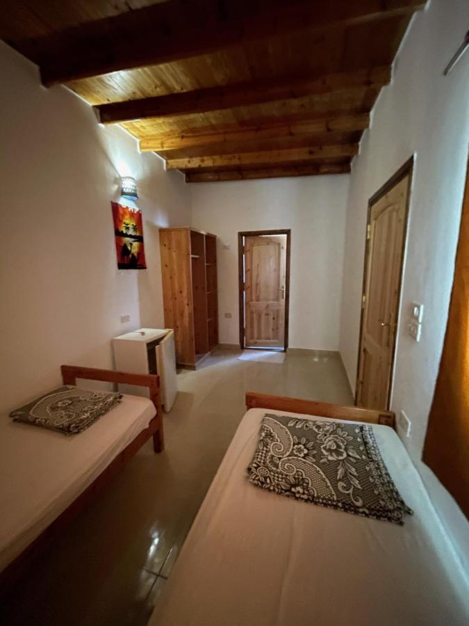 Dolphin Camp Ξενοδοχείο Νταχάμπ Εξωτερικό φωτογραφία