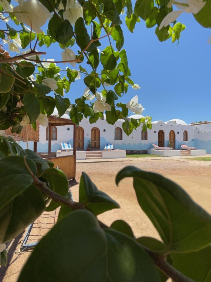 Dolphin Camp Ξενοδοχείο Νταχάμπ Εξωτερικό φωτογραφία