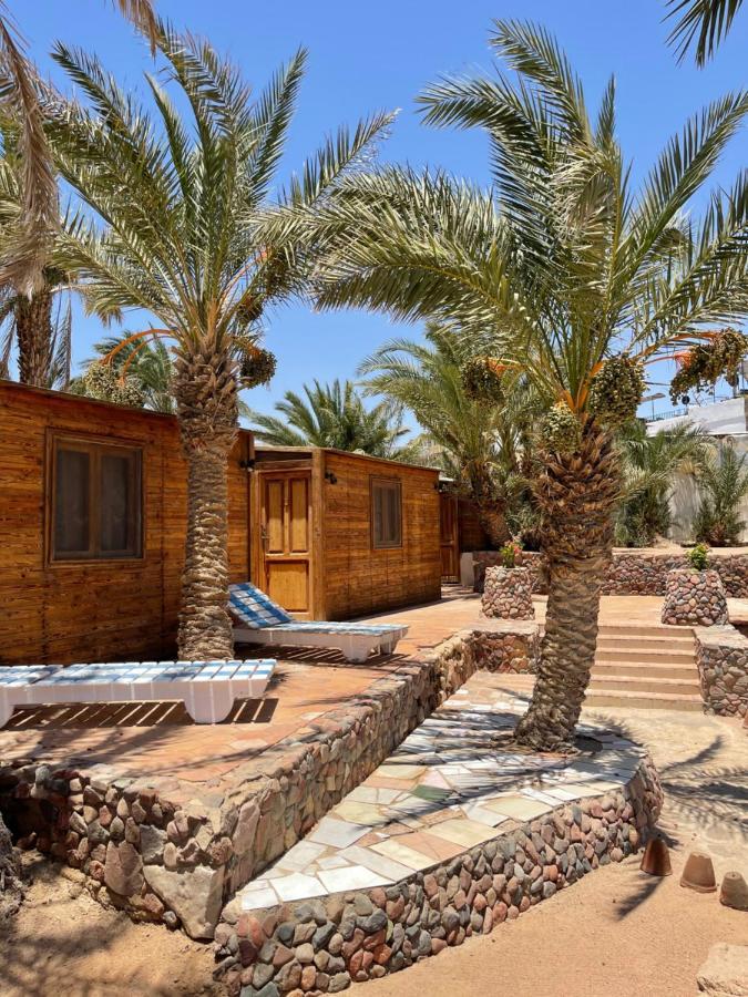 Dolphin Camp Ξενοδοχείο Νταχάμπ Εξωτερικό φωτογραφία