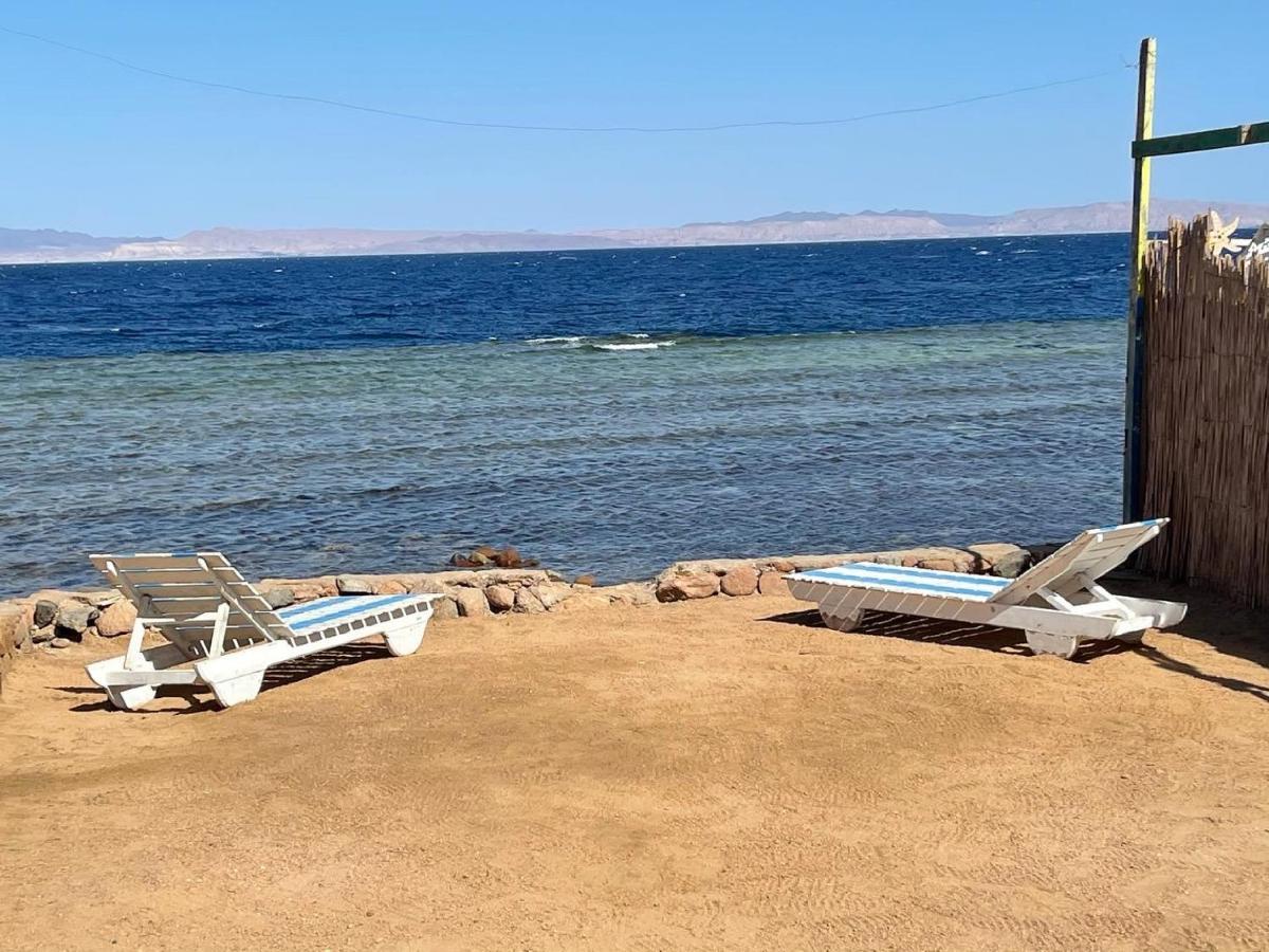 Dolphin Camp Ξενοδοχείο Νταχάμπ Εξωτερικό φωτογραφία