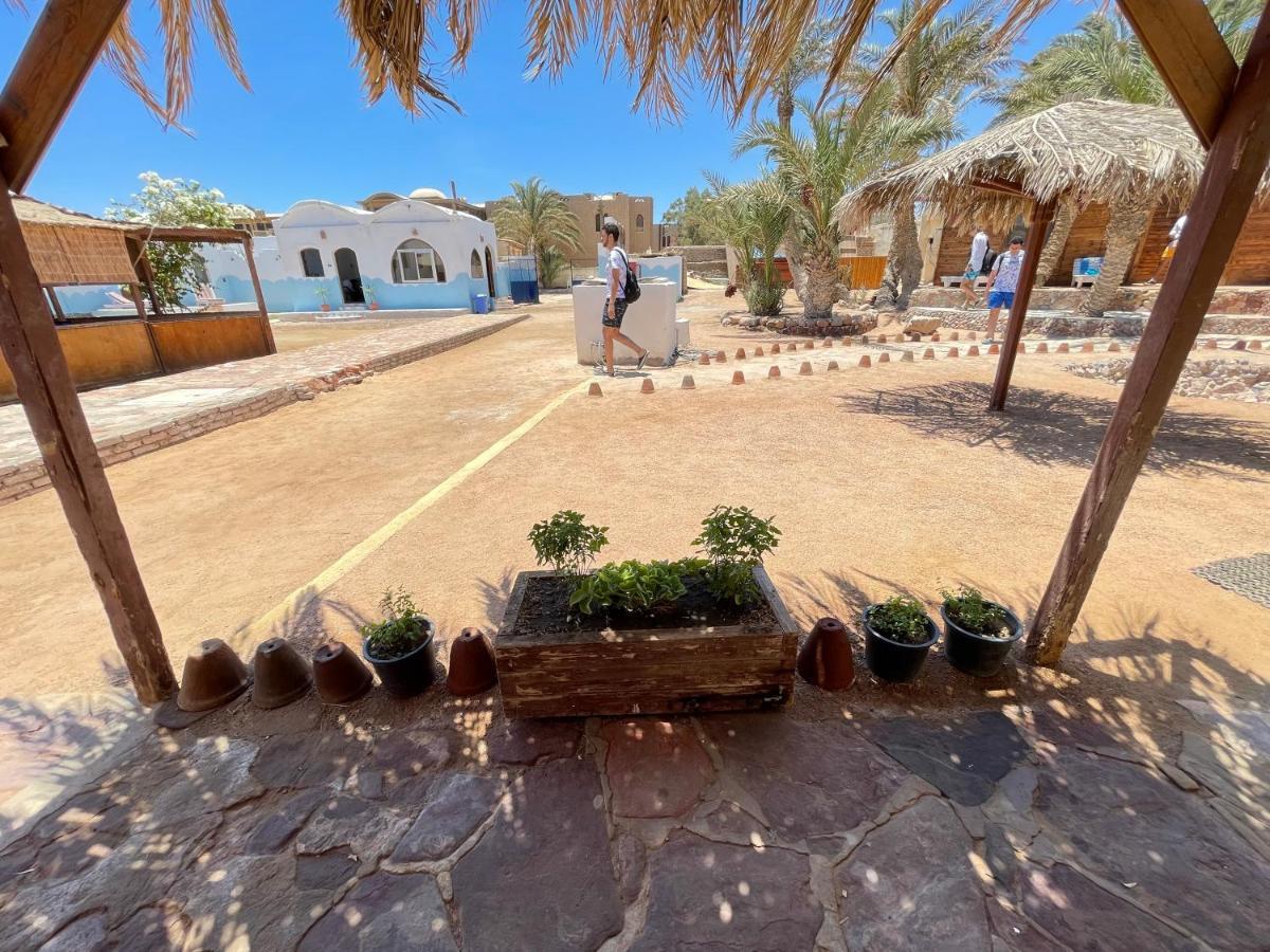 Dolphin Camp Ξενοδοχείο Νταχάμπ Εξωτερικό φωτογραφία