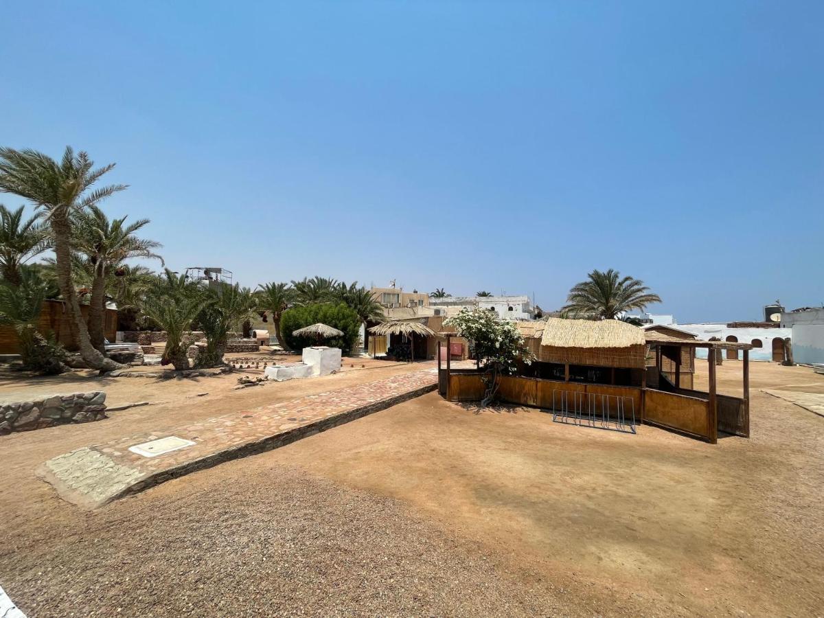 Dolphin Camp Ξενοδοχείο Νταχάμπ Εξωτερικό φωτογραφία