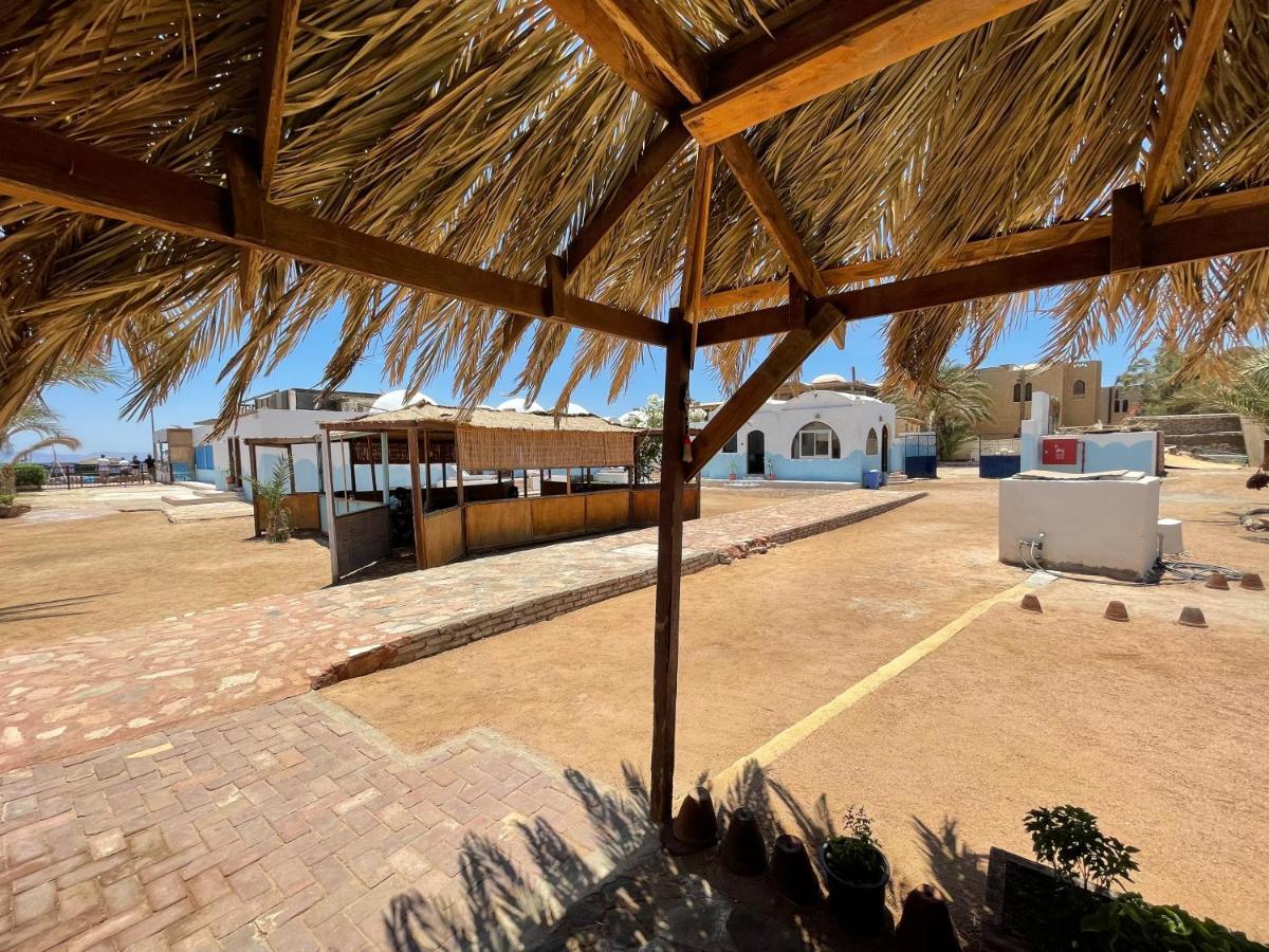 Dolphin Camp Ξενοδοχείο Νταχάμπ Εξωτερικό φωτογραφία