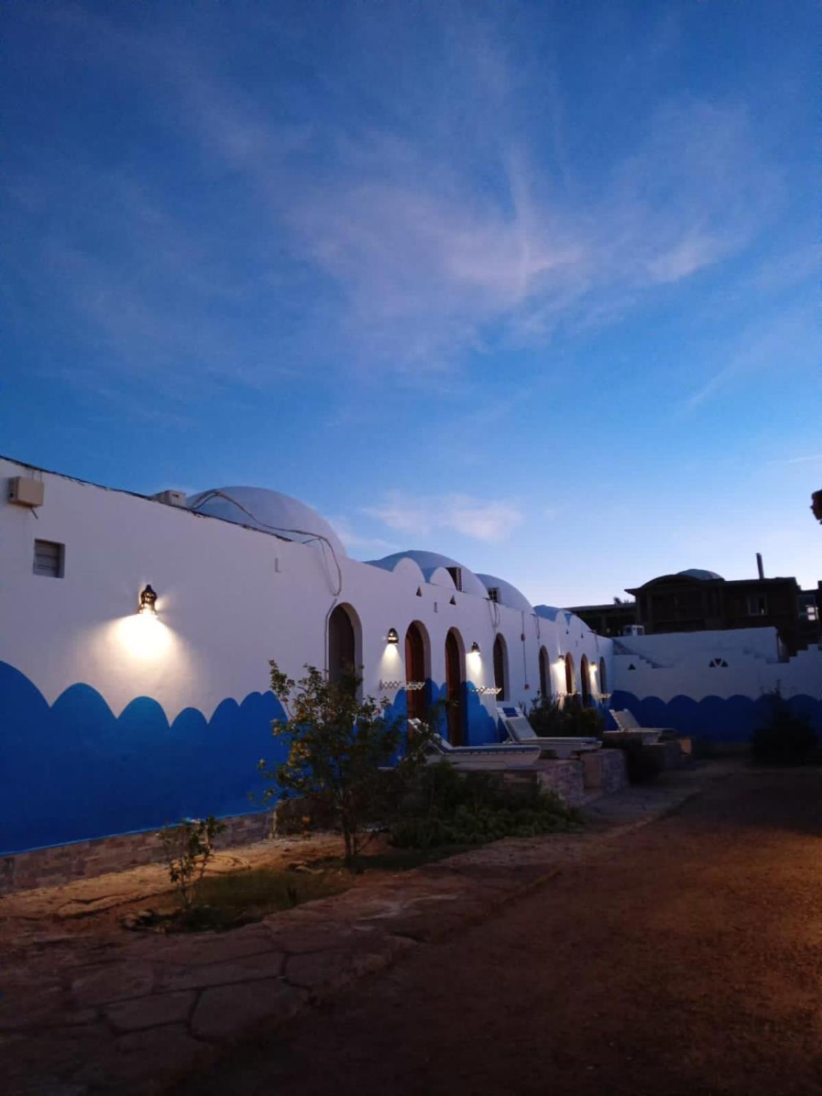 Dolphin Camp Ξενοδοχείο Νταχάμπ Εξωτερικό φωτογραφία