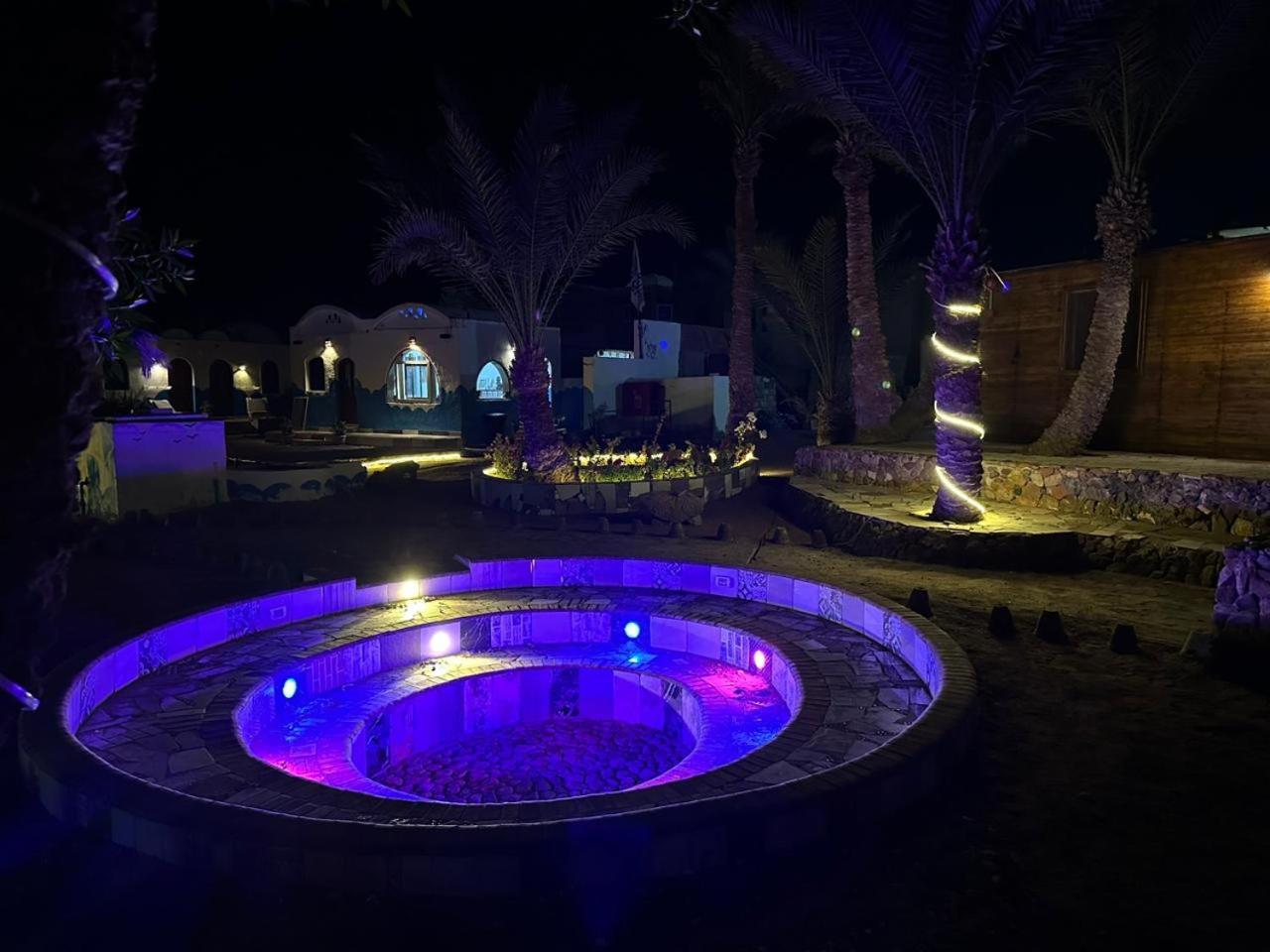 Dolphin Camp Ξενοδοχείο Νταχάμπ Εξωτερικό φωτογραφία
