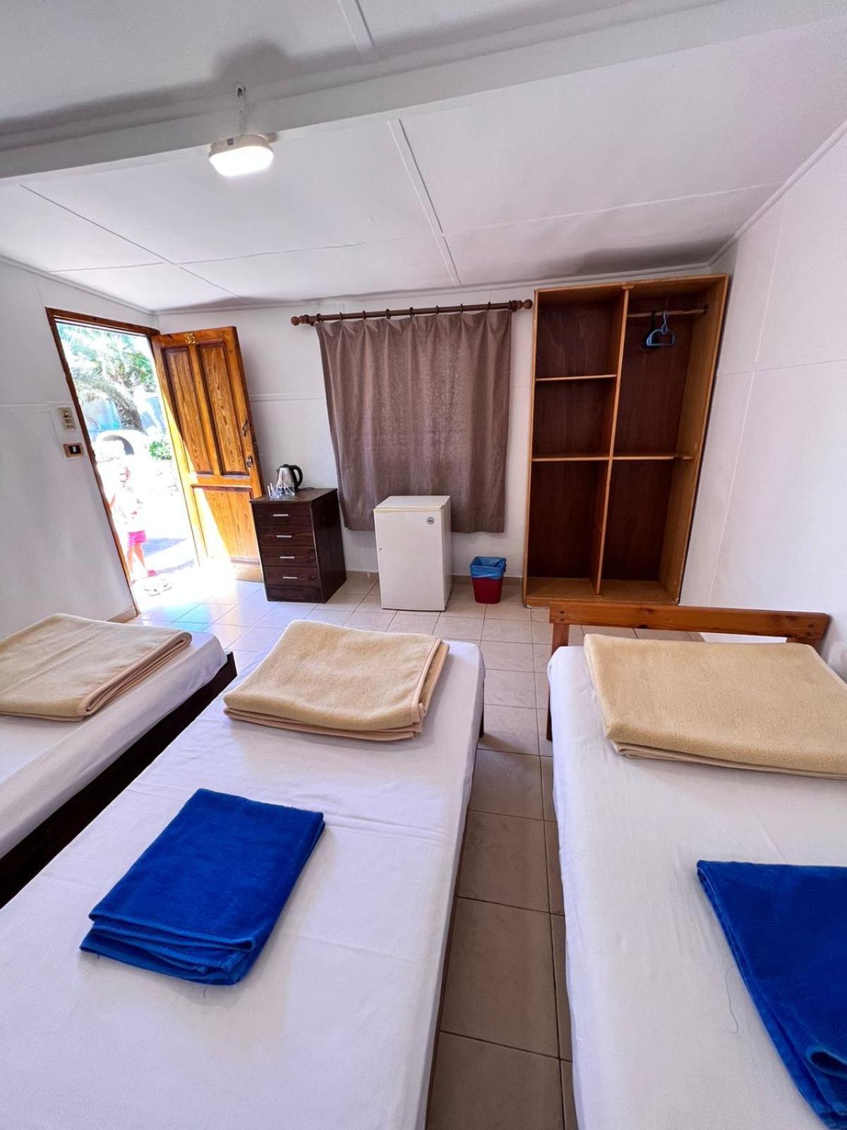 Dolphin Camp Ξενοδοχείο Νταχάμπ Εξωτερικό φωτογραφία