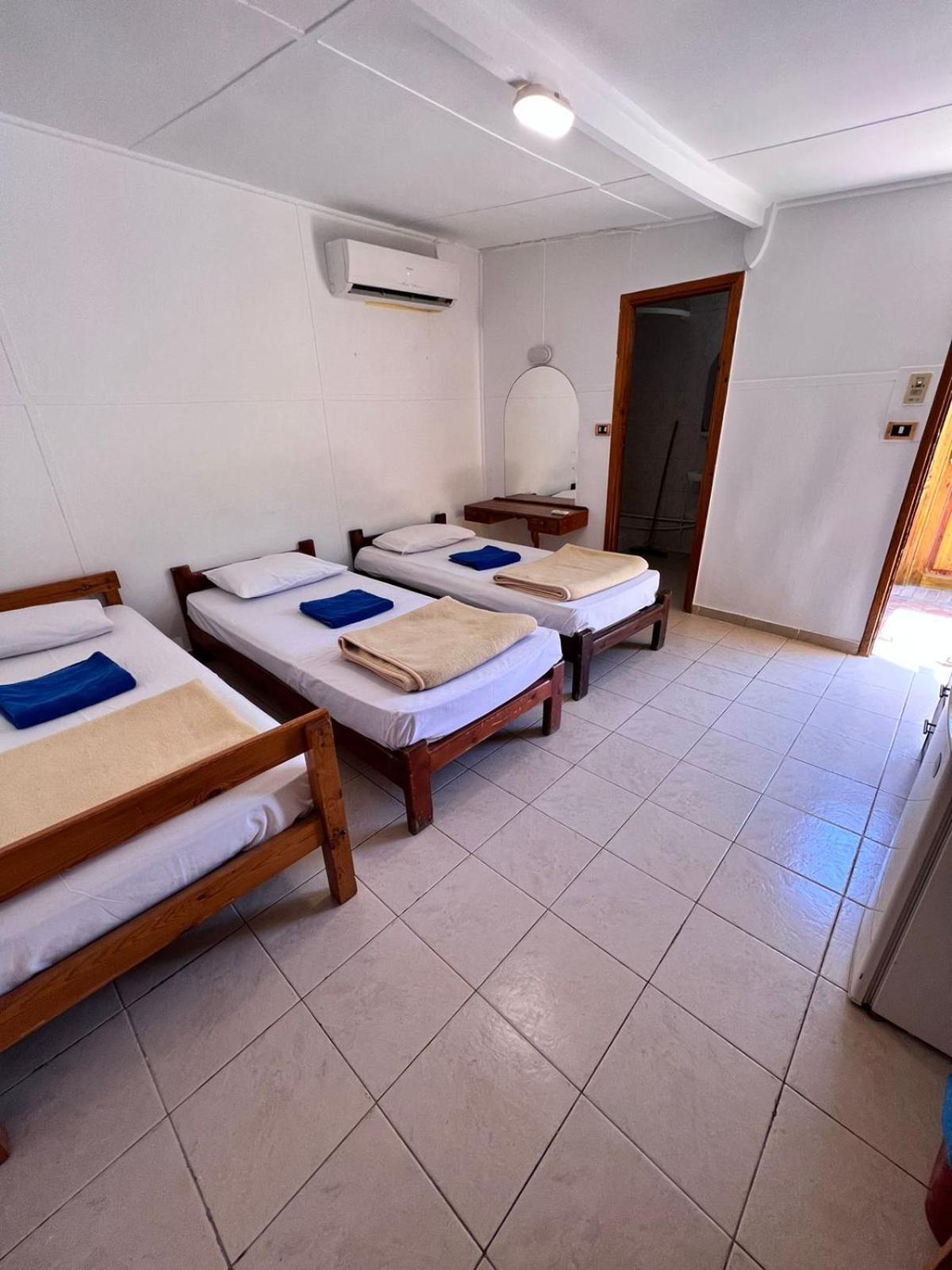 Dolphin Camp Ξενοδοχείο Νταχάμπ Εξωτερικό φωτογραφία